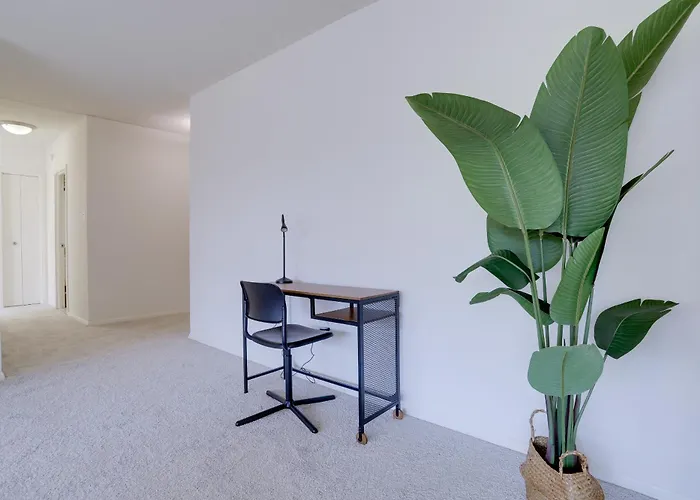 Sensational & Modern Apartment At Crystal City